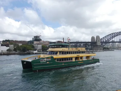 A Sydney Ferries vessel — dark green hull, pale yellow upperworks. That is the public fleet's livery.