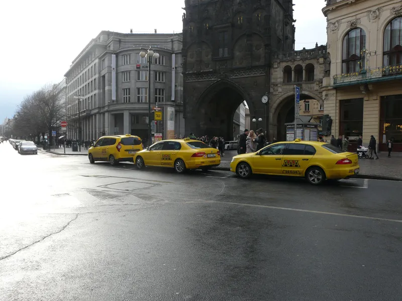 Cabs with a TAXI roof lamp - only these can be hailed or picked up at a rank, and they must charge by the meter