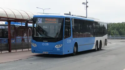 A blue HSL bus; the front display shows the line number, 54, and the destination Pitäjänmäki.