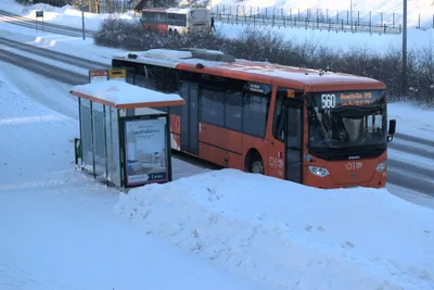 An orange trunk-route bus (line 560) — the colour is what tells it apart from the blue city buses.