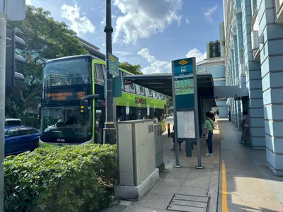 A bus in the current SG BUS livery — the front LED shows the route number and destination