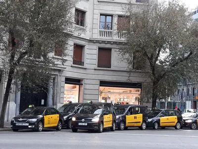 Black-and-yellow taxis lined up nose to tail along the kerb, waiting for passengers.